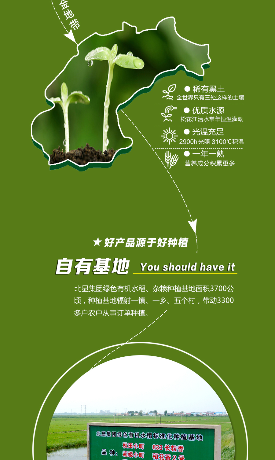 北显杂粮详情统一版本_02 - 副本.jpg